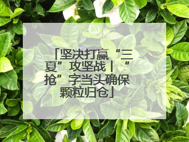 坚决打赢“三夏”攻坚战丨“抢”字当头确保颗粒归仓