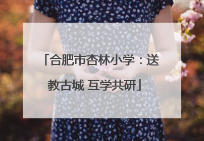 合肥市杏林小学：送教古城 互学共研