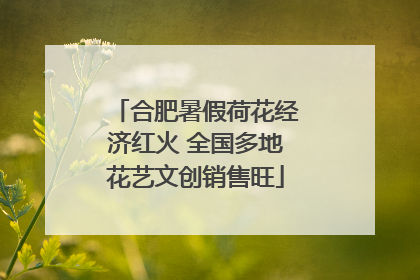 合肥暑假荷花经济红火 全国多地花艺文创销售旺