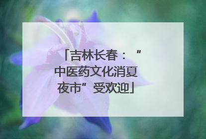 吉林长春：“中医药文化消夏夜市”受欢迎