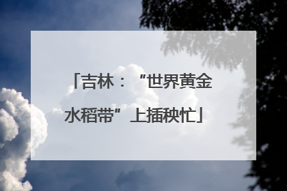 吉林：“世界黄金水稻带”上插秧忙