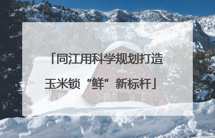 同江用科学规划打造玉米锁“鲜”新标杆