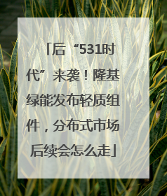 后“531时代”来袭！隆基绿能发布轻质组件，分布式市场后续会怎么走