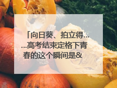 向日葵、拍立得……高考结束定格下青春的这个瞬间是& 8594;｜2025四川高考