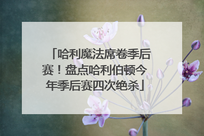哈利魔法席卷季后赛！盘点哈利伯顿今年季后赛四次绝杀