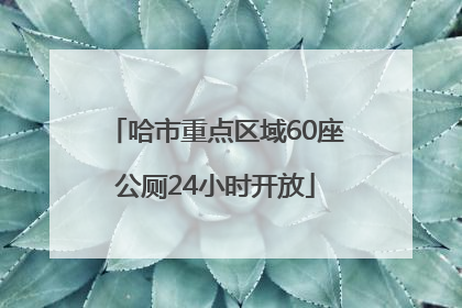 哈市重点区域60座公厕24小时开放