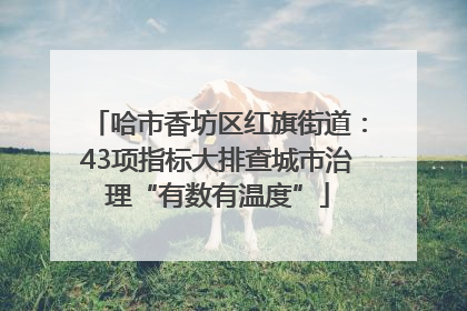 哈市香坊区红旗街道：43项指标大排查城市治理“有数有温度”