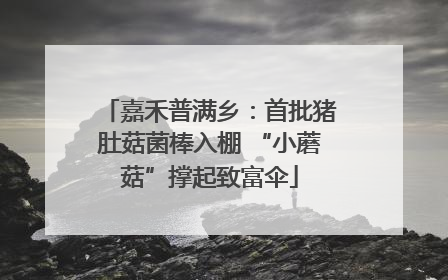 嘉禾普满乡：首批猪肚菇菌棒入棚 “小蘑菇”撑起致富伞