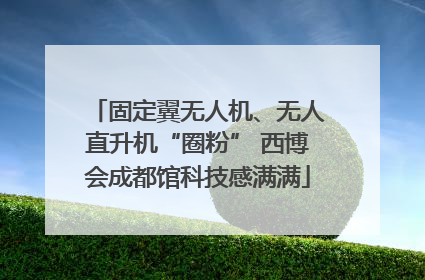 固定翼无人机、无人直升机“圈粉” 西博会成都馆科技感满满
