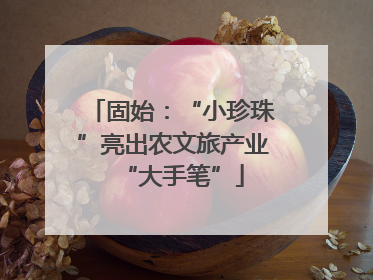 固始：“小珍珠”亮出农文旅产业“大手笔”