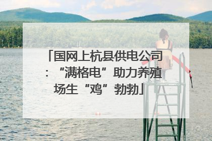 国网上杭县供电公司：“满格电”助力养殖场生“鸡”勃勃