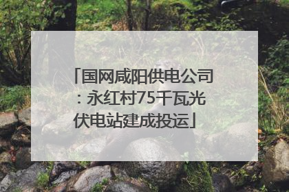 国网咸阳供电公司：永红村75千瓦光伏电站建成投运