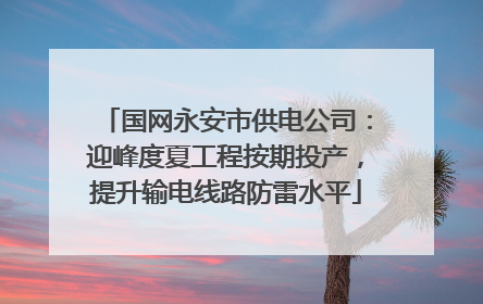 国网永安市供电公司：迎峰度夏工程按期投产，提升输电线路防雷水平