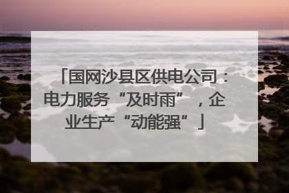 国网沙县区供电公司：电力服务“及时雨”，企业生产“动能强”