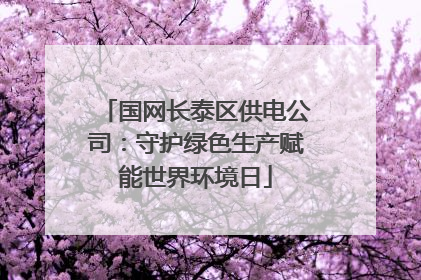 国网长泰区供电公司：守护绿色生产赋能世界环境日