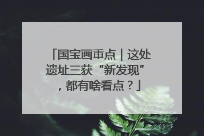 国宝画重点｜这处遗址三获“新发现”，都有啥看点？