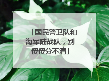 国民警卫队和海军陆战队，别傻傻分不清