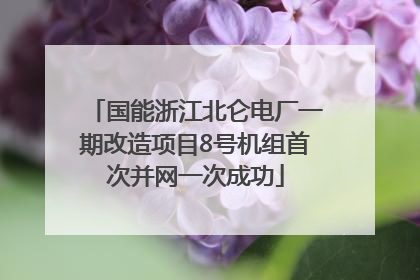 国能浙江北仑电厂一期改造项目8号机组首次并网一次成功