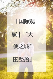 国际观察｜“天使之城”的坠落
