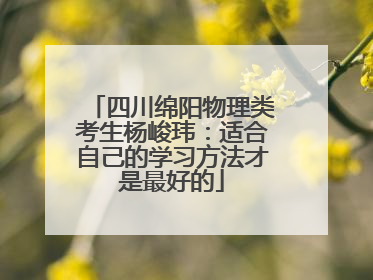 四川绵阳物理类考生杨峻玮：适合自己的学习方法才是最好的