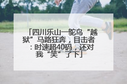四川乐山一鸵鸟“越狱”马路狂奔，目击者：时速超40码，还对我“笑”了下