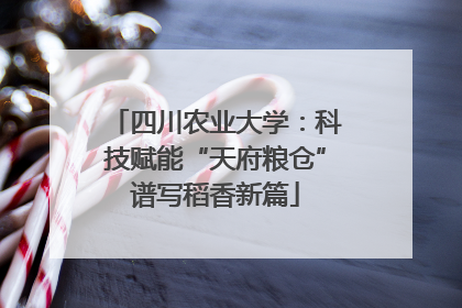四川农业大学：科技赋能“天府粮仓”谱写稻香新篇