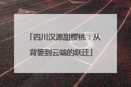 四川汉源甜樱桃：从背篓到云端的跃迁