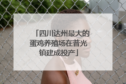 四川达州最大的蛋鸡养殖场在普光镇建成投产
