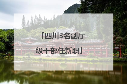 四川3名副厅级干部任新职