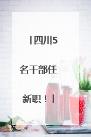 四川5名干部任新职！