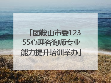 团鞍山市委12355心理咨询师专业能力提升培训举办