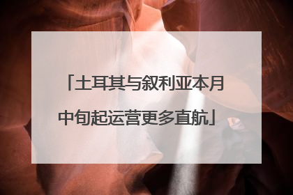 土耳其与叙利亚本月中旬起运营更多直航