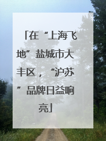 在“上海飞地”盐城市大丰区，“沪苏”品牌日益响亮