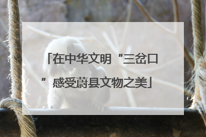 在中华文明“三岔口”感受蔚县文物之美