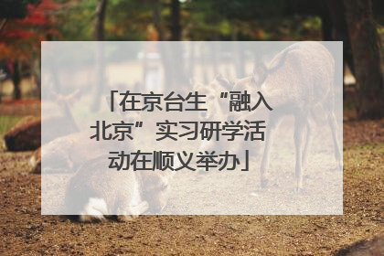 在京台生“融入北京”实习研学活动在顺义举办