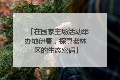 在国家主场活动举办地伊春，探寻老林区的生态密码