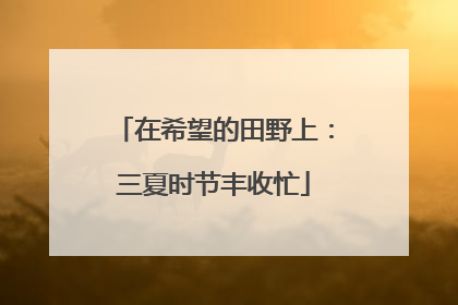 在希望的田野上：三夏时节丰收忙