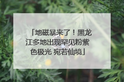 地磁暴来了！黑龙江多地出现罕见粉紫色极光 宛若仙境