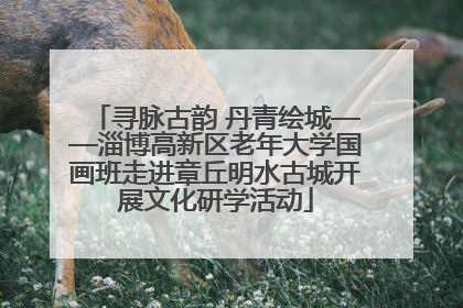 寻脉古韵 丹青绘城——淄博高新区老年大学国画班走进章丘明水古城开展文化研学活动