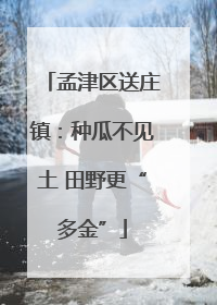 孟津区送庄镇：种瓜不见土 田野更“多金”