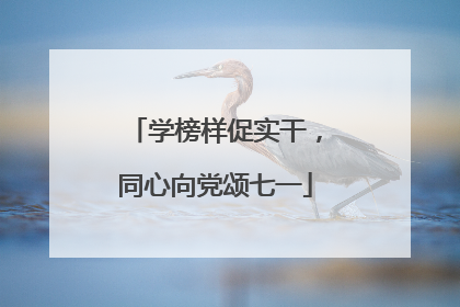 学榜样促实干，同心向党颂七一