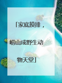 家底摸排，崂山成野生动物天堂