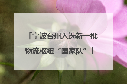 宁波台州入选新一批物流枢纽“国家队”