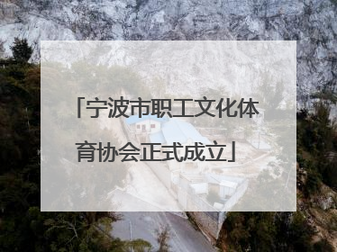 宁波市职工文化体育协会正式成立