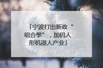 宁波打出新政“组合拳”，加码人形机器人产业