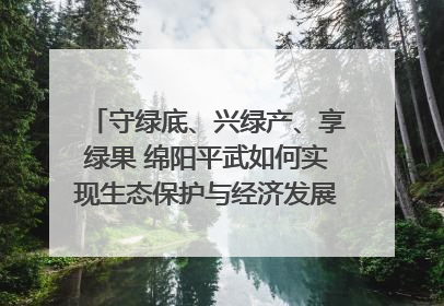 守绿底、兴绿产、享绿果 绵阳平武如何实现生态保护与经济发展双赢？｜新闻发布最前线·深一度