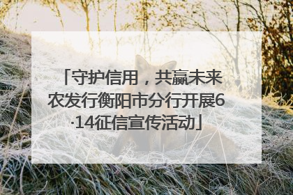 守护信用，共赢未来 农发行衡阳市分行开展6·14征信宣传活动