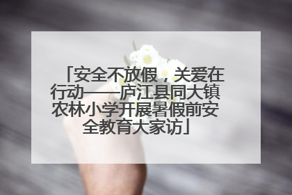 安全不放假，关爱在行动——庐江县同大镇农林小学开展暑假前安全教育大家访