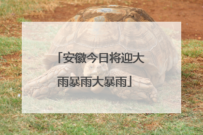 安徽今日将迎大雨暴雨大暴雨