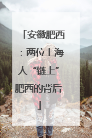 安徽肥西：两位上海人“链上”肥西的背后